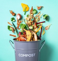 The Magic of Compost