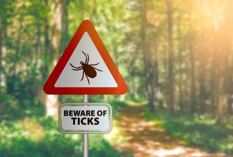 Tick-Borne Diseases On Long Island