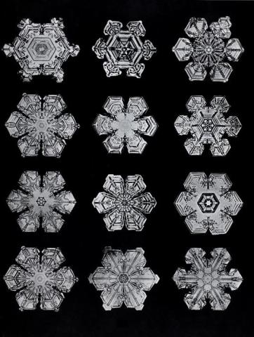 Wilson A. Bentley, Snowflakes Photomicrographed, c. 1890. Albumen prints. Smithsonian Archives, History Division, Washington, D.C. Published in Wilson A. Bentley and William J. Humphreys, Snow Crystals (New York: McGraw-Hill, 1931).