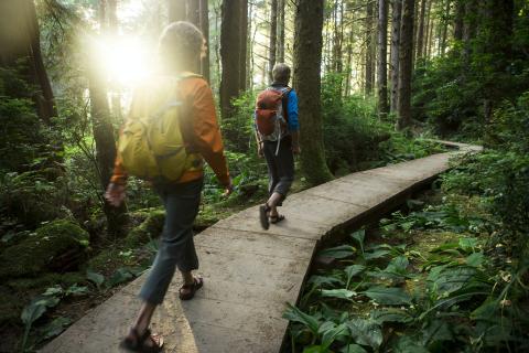 people hiking