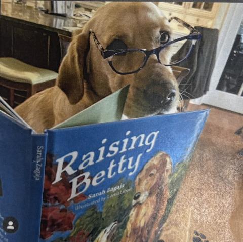 dog with glasses, reading