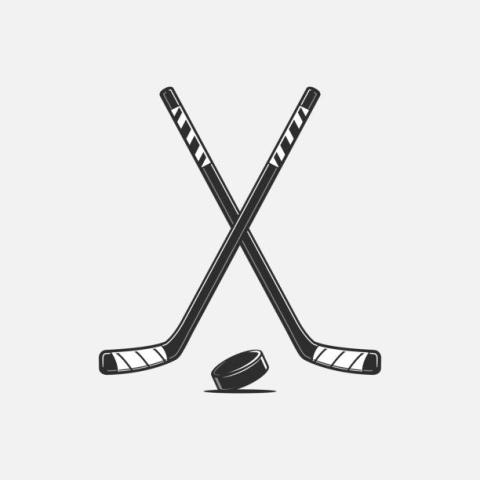 Hockey Sticks and Puck