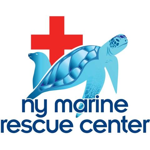 Ny marine rescue center 