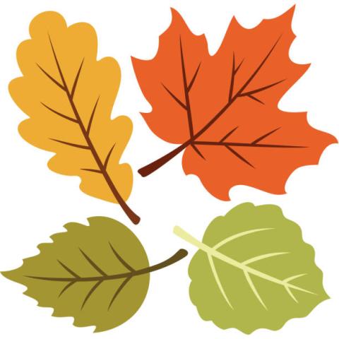 Clip Art Leaves