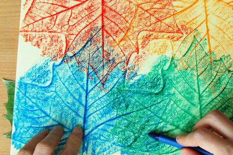 Leaf Rubbing