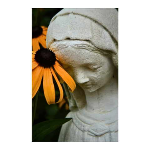 flower and statue
