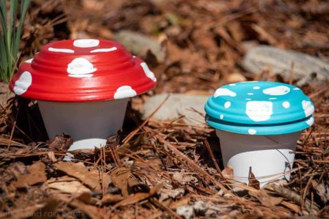 Clay Pot Mushrooms