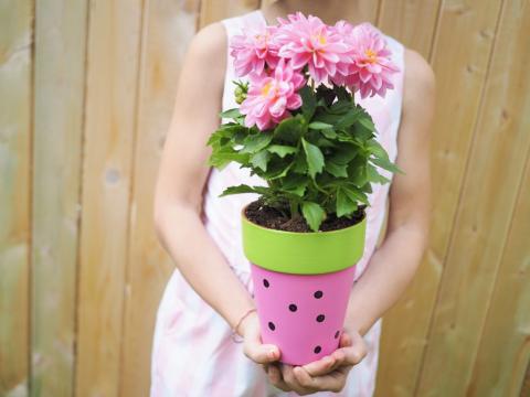 Painted Flowerpot with Flower