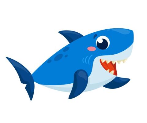 Cartoon Shark