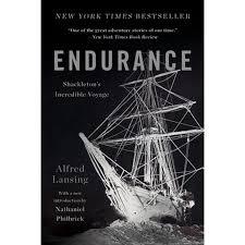Endurance book cover