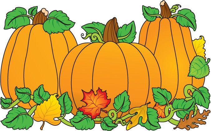 Pumpkins in a pile with leaves and flowers