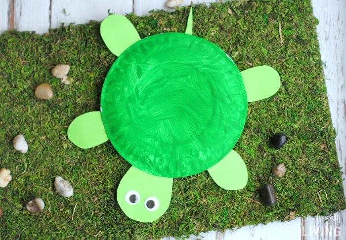 Paper Plate Turtle