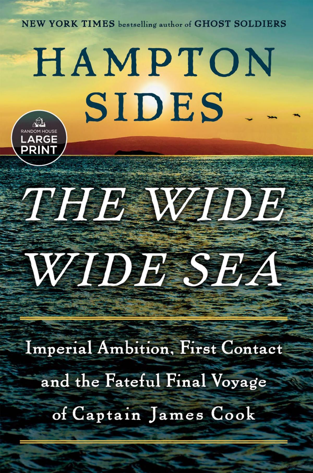 The Wide Wide Sea book cover