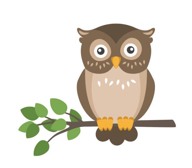 Owl Clipart