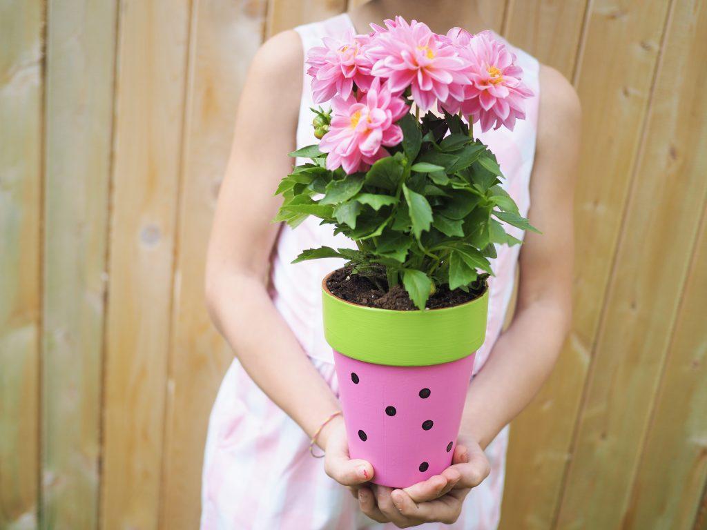 Painted Flowerpot with Flower