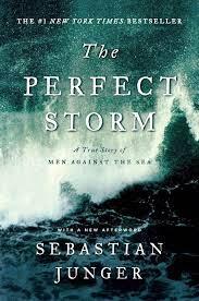 The Perfect Storm book cover