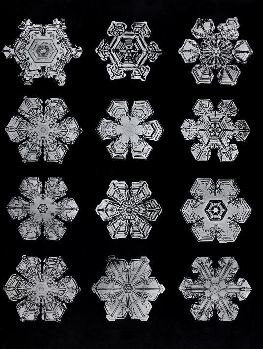 Wilson A. Bentley, Snowflakes Photomicrographed, c. 1890